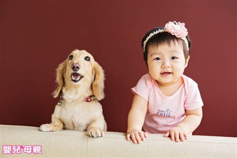 生小孩 養寵物|孩子吵著養寵物？飼養前須符合4條件、做好7大準備！